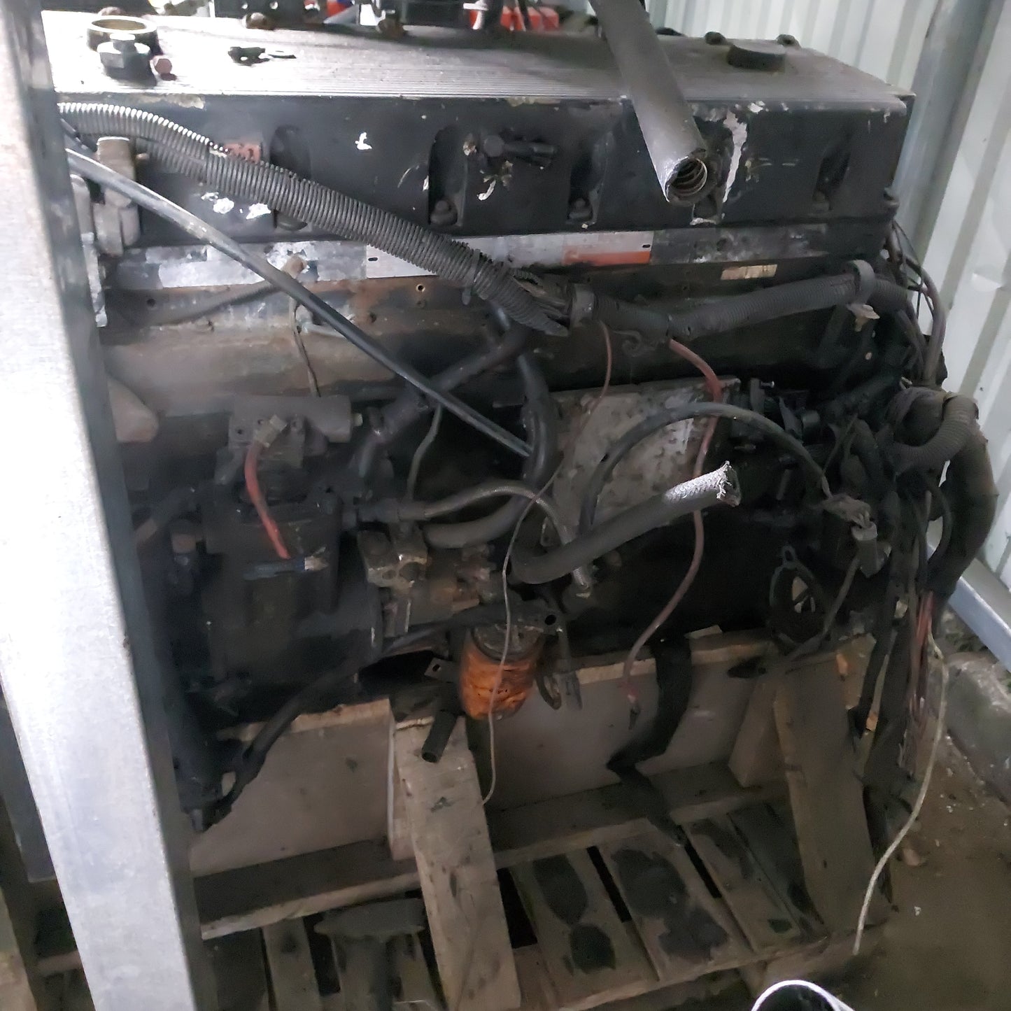 MOTOR CUMMINS M11